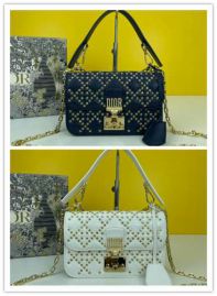 Picture of Dior Lady Handbags _SKUfw141262823fw